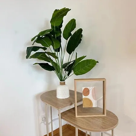 Gemuetliches & Modernes Inklusive Gratis Parkplatz Graz