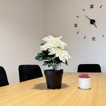 Gemuetliches & Modernes Inklusive Gratis Parkplatz Apartment Graz